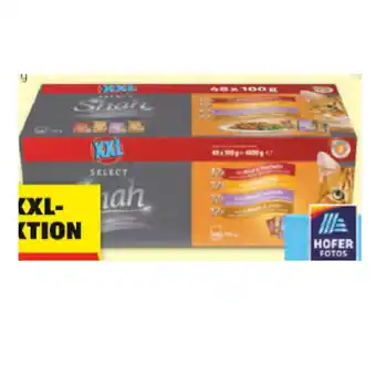 Hofer Shah Select XXL Katzenfutter div. Sorten HOFER 48 Stück 1 Packung Angebot