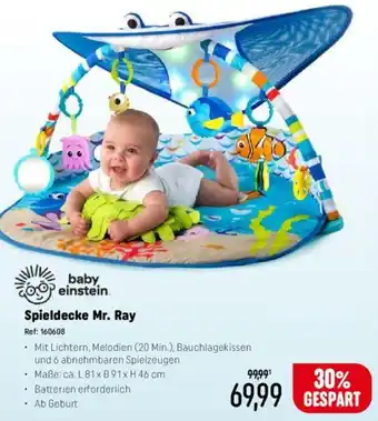 Smyths Toys baby einstein Spieldecke Mr. Ray,  Maße: ca. L 81 x B 91 x H 46 cm Angebot