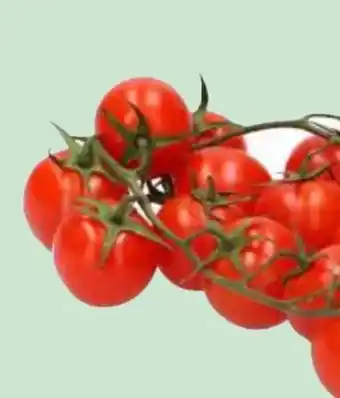 MPreis Cherrytomaten Fruchtige Frieda Angebot