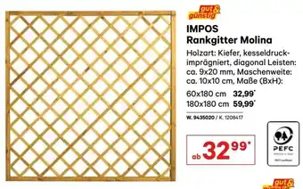 Lagerhaus Rankgitter Molina Angebot