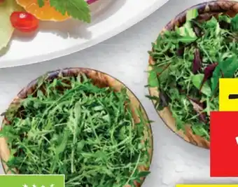 Lidl Bio-Salate Angebot