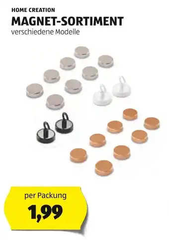 Hofer MAGNET-SORTIMENT Angebot
