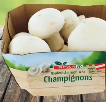 Eurospar Champignon Angebot