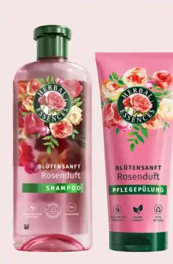 Interspar Shampoo Angebot