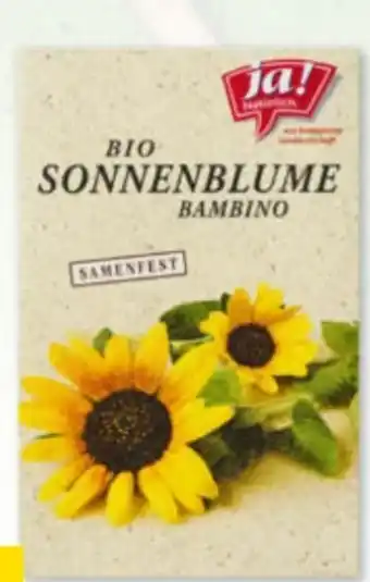 Billa Bio-Samen Angebot