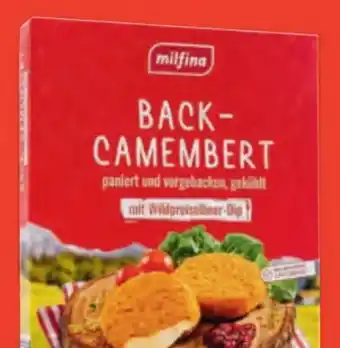 Hofer Back-Camembert Angebot