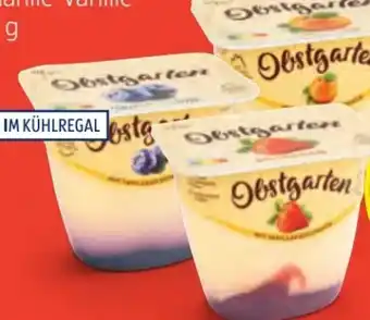 Hofer Obstgarten Angebot