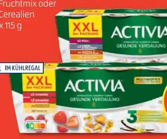 Hofer Activia Joghurt Angebot