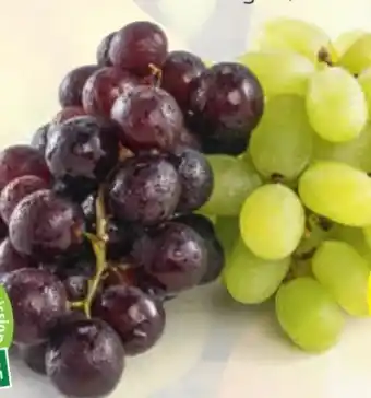 Hofer Trauben Angebot