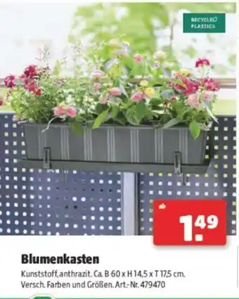 Hagebau Blumenkasten Angebot