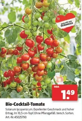 Hagebau Bio-Cocktail-Tomate Angebot