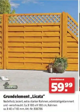 Hagebau Grundelement Licata Angebot