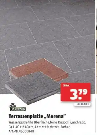 Hagebau Terrassenplatte Morena Angebot