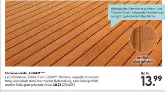 Hellweg Terrassendiele „,COBAM Angebot