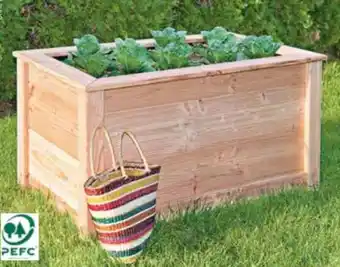 Hellweg Hochbeet Douglasie Angebot