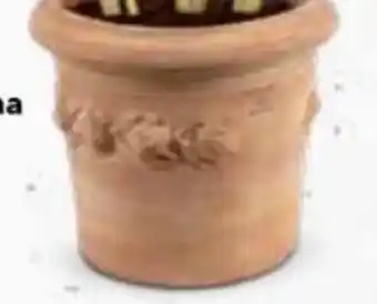 Bellaflora Topf Vaso Toscano Limoni Angebot