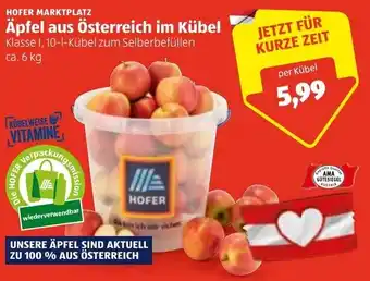 Hofer Äpfel Aus Österreich Im Kübel Angebot