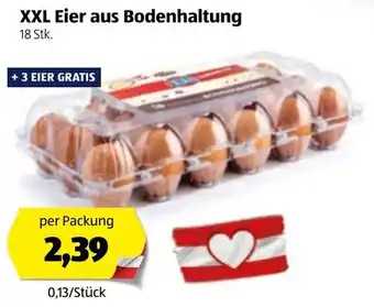 Hofer XXL Eier Aus Bodenhaltung Angebot