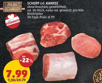 PENNY SCHOPF od. KARREE Angebot