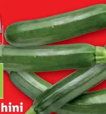 Lidl Bio-Zucchini Angebot