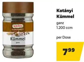 Eurogast Grissemann Kotányi Kümmel Angebot