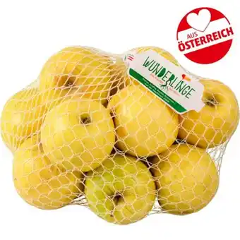 PENNY Wunderlinge Saftige Äpfel Penny 2 Kilogramm 1 Netz Angebot