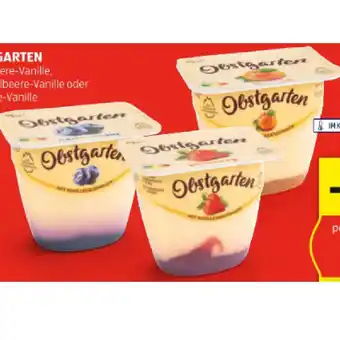 Hofer Danone Obstgarten div. Sorten HOFER 175 Gramm 1 Becher Angebot