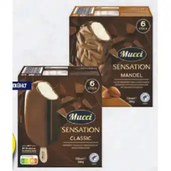 Hofer MUCCI Premium Stieleis div. Sorten HOFER 720 Milliliter 1 Packung Angebot