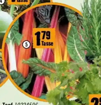 Hornbach Bio-Mangold Angebot