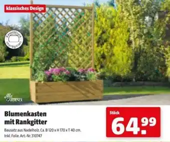Hagebau Blumenkasten mit Rankgitter Angebot