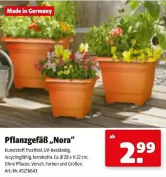 Hagebau Pflanzgefäß Nora Angebot