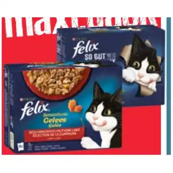 Maximarkt Felix Katzennahrung versch. Sorten Maximarkt 1 Packung Angebot