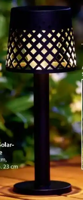 NKD Solar-Leuchte Angebot