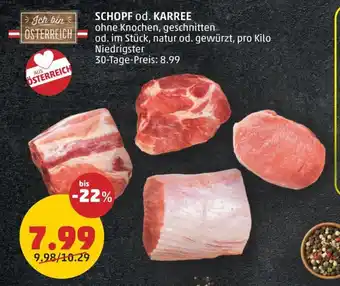 PENNY SCHOPF od. KARREE Angebot