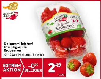 Billa Da komm ich her Erdbeeren Angebot