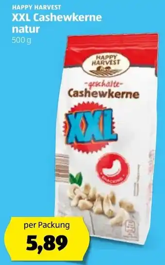 Hofer XXL Cashewkerne Natur 500g Angebot
