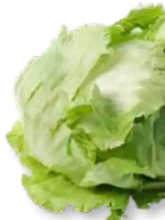 SPAR Gourmet Eisbergsalat Angebot