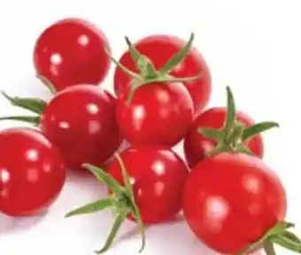 Dehner Zuckertomate Angebot