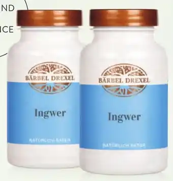 INGWER