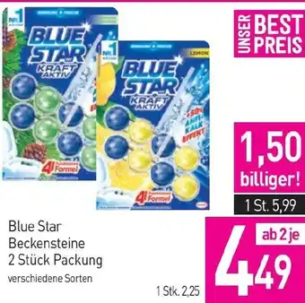 Sutterlüty Blue Star Beckensteine 2 Stück Packung Angebot