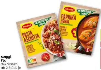 ADEG Maggi Fix Angebot