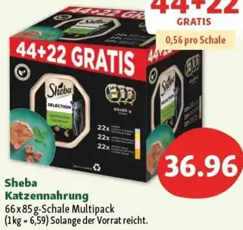 Fressnapf Sheba Katzennahrung Angebot