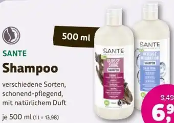 Denn's Biomarkt Shampoo Angebot