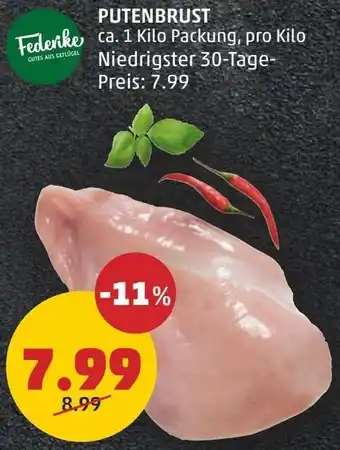 PENNY PUTENBRUST Angebot