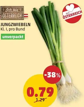 PENNY JUNGZWIEBELN Angebot