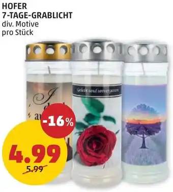 PENNY HOFER 7-TAGE-GRABLICHT Angebot