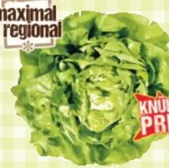 Maximarkt Kopfsalat Angebot