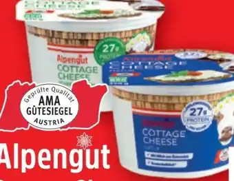 Lidl Cottage Cheese Angebot