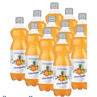 T&G Silberquelle ACE T&G 0.50 Liter 1 Flasche Angebot