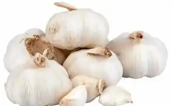 Transgourmet Knoblauch Angebot